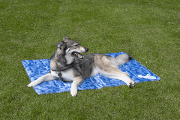 CoolPets Premium Cooling Mat L (90x60cm)